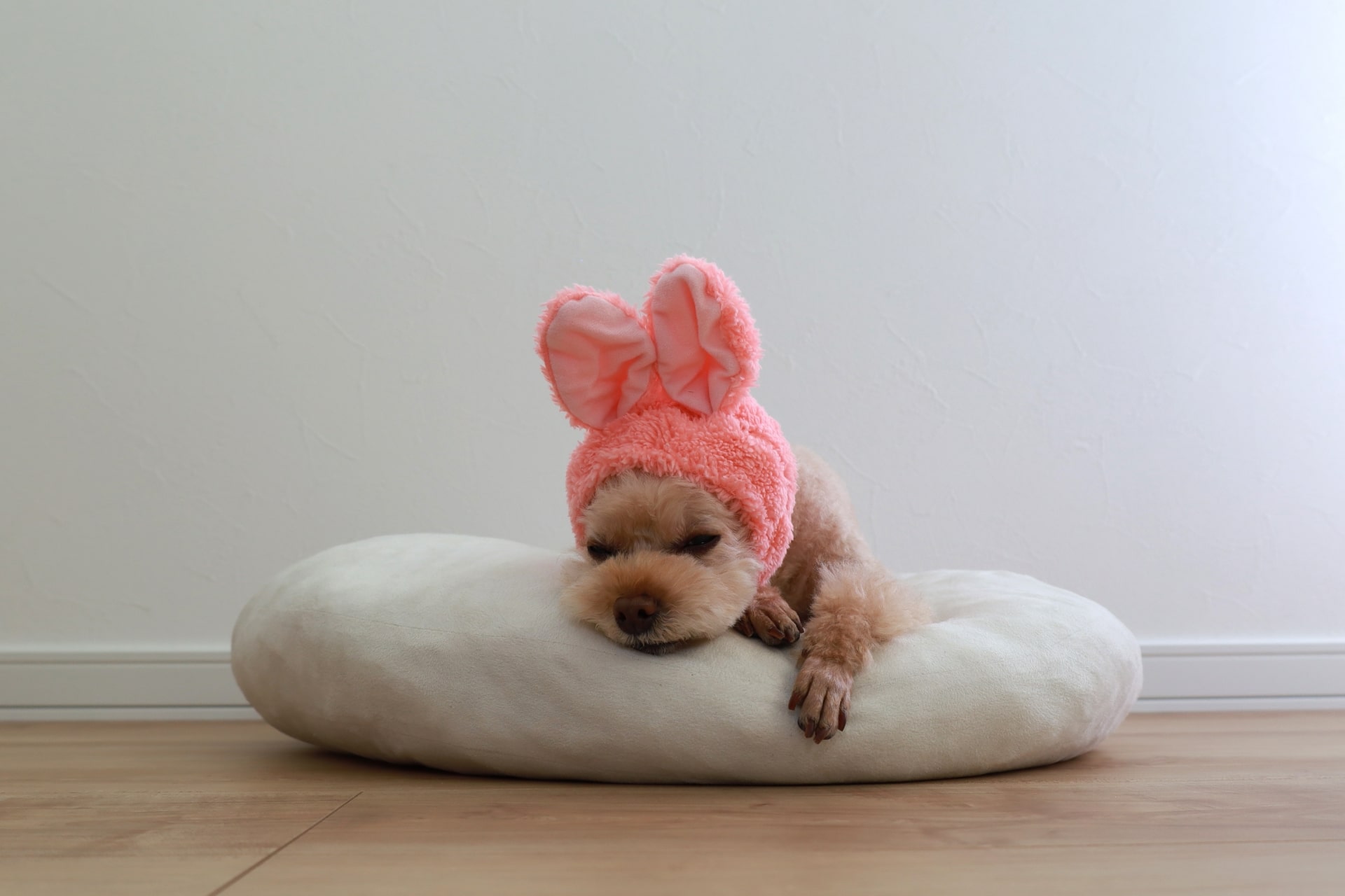 東京ガスの温水式ガス床暖房の種類